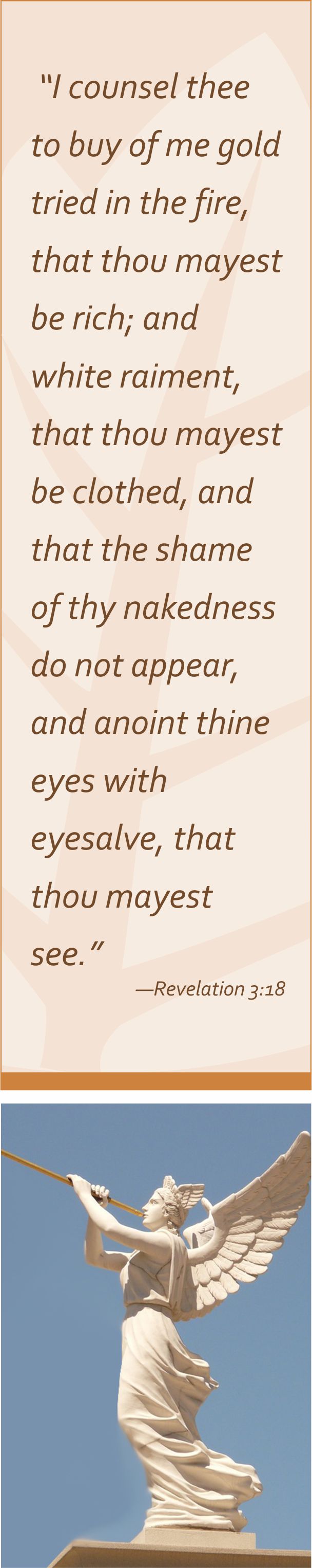Rev 3.18.jpg