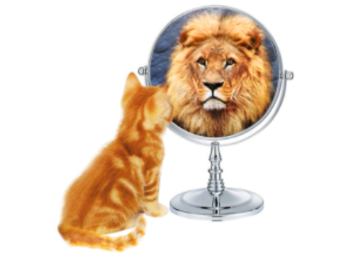 Restoring the Image of God